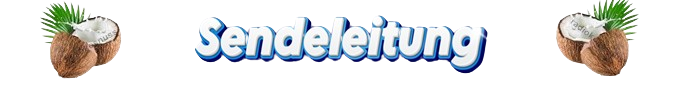 Sendeleitung
